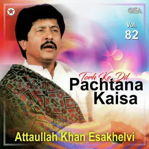 Torh Ke Dil Pachtana Kaisa, Vol. 82 image