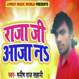 Raja Ji Aaja Naa image