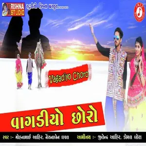 Vagadiyo Chhoro image