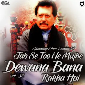 Jab Se Too Ne Mujhe Dewana Bana Rakha Hai, Vol. 32 image