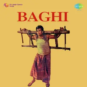 Baghi image