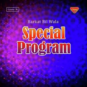 Special Program, Vol. 29 image