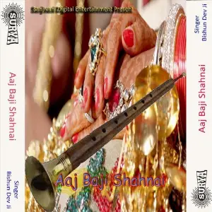 Aaj Baji Shahnai image