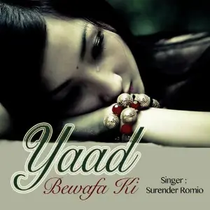 Yaad Bewafa Ki image