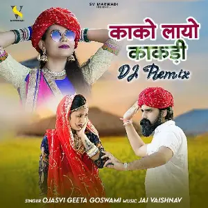 Kako Layo Kakdi Dj Remix image