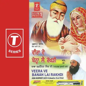Veera Ve Banah Lai Rakhdi (Vol. 43) image