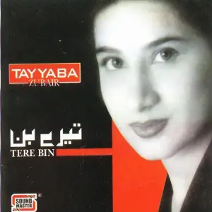 Tere Bin image