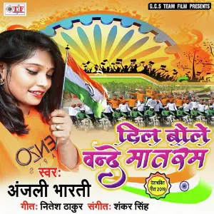 Dil Bole Vande Mataram image