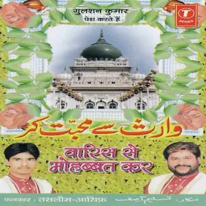 Waaris Se Mohabbat Kar image