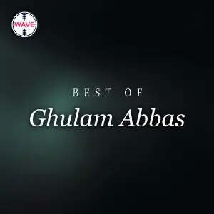 Best Of Ghulam Abbas image