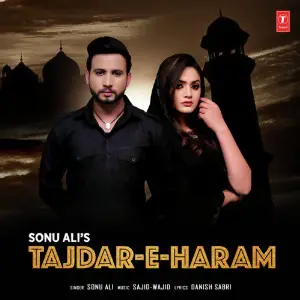 Tajdar-E-Haram image