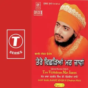 Tere Vichhdeyan Mar Jaawan (Part 1) image
