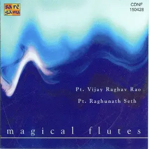 Magical Flutes - Pt. Vijay Raghavrao N Pt image