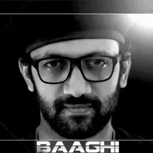Baaghi image
