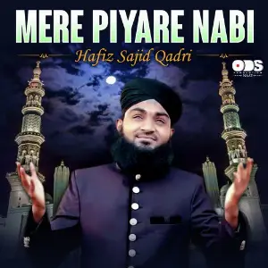 Mere Piyare Nabi - Single image