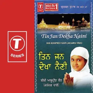 Tin Jan Dekha Naini image