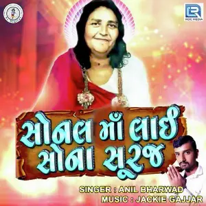 Maa Mogal Tari Daya Anil Bharwad