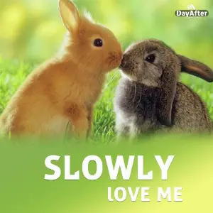 Slowly Love Me image