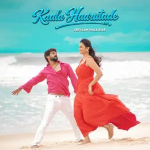 Kaala Haarutade image