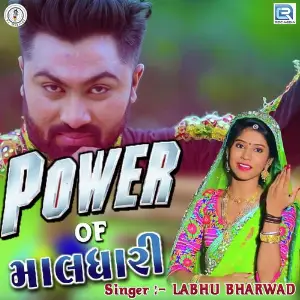 Power Of Maldhari image