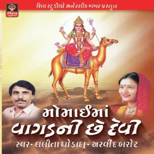 Vagad Ni Devi image