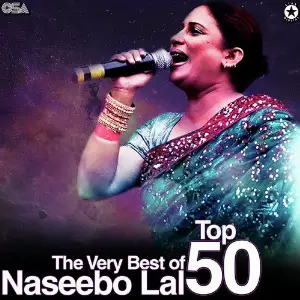The Very Best of Naseebo Lal - Top 50 image