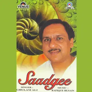 Saadgee image