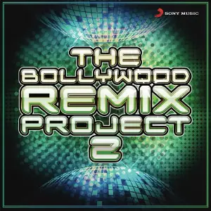 The Bollywood Remix Project, 2 image