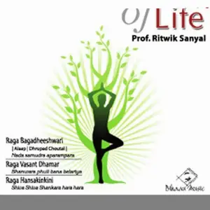 Sound Of Life image