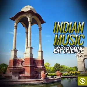 Indian Music Experience, Vol. 8 image