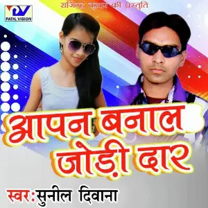 Aapan Banaal Jodi Daar image
