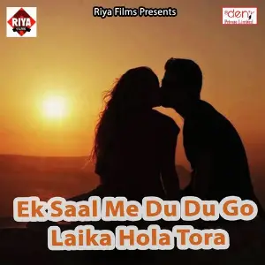 Ek Saal Me Du Du Go Laika Hola Tora image