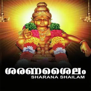 Sharanashailam image