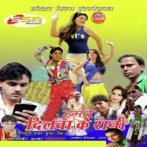 Hamre Dilwa Ke Rani image
