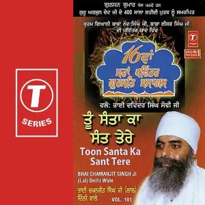 Toon Santa Ka Sant Tere image