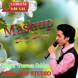 Mashup Best Song image