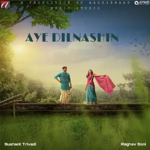Aye Dilnashin image