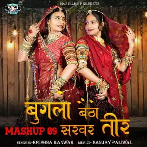 Buglo Baitho Sarvar Teer (Mashup 09) image