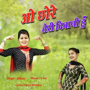 O Chhore Teri Deewani Hu image