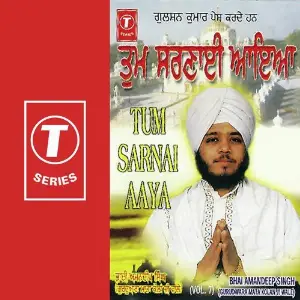 Tum Sarnai Aaya (Vol. 7) image