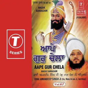 Aape Gur Chela (Vol. 16) image
