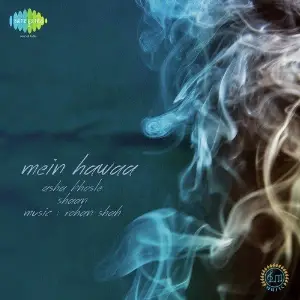 Mein Hawaa image