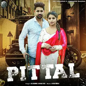 Pittal image