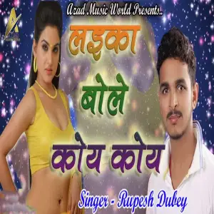 Laika Bole Koy Koy image