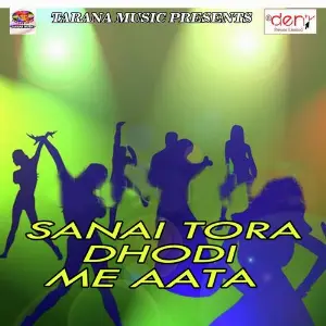 Sanai Tora Dhodi Me Aata image