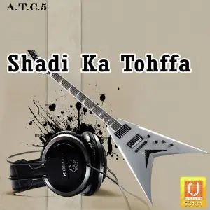 Shadi Ka Tohffa image