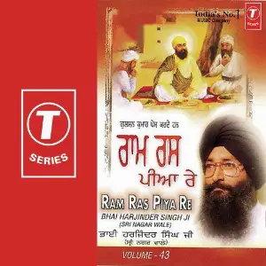 Ram Ras Piya Re (Vol. 43) image