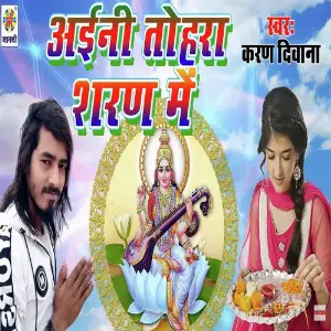 Aini Tohara Sharan Me image