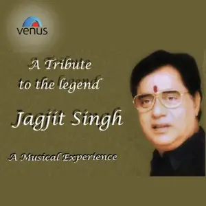 Tribute To Jagjit Singh image