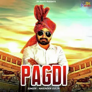 Pagdi - Single image